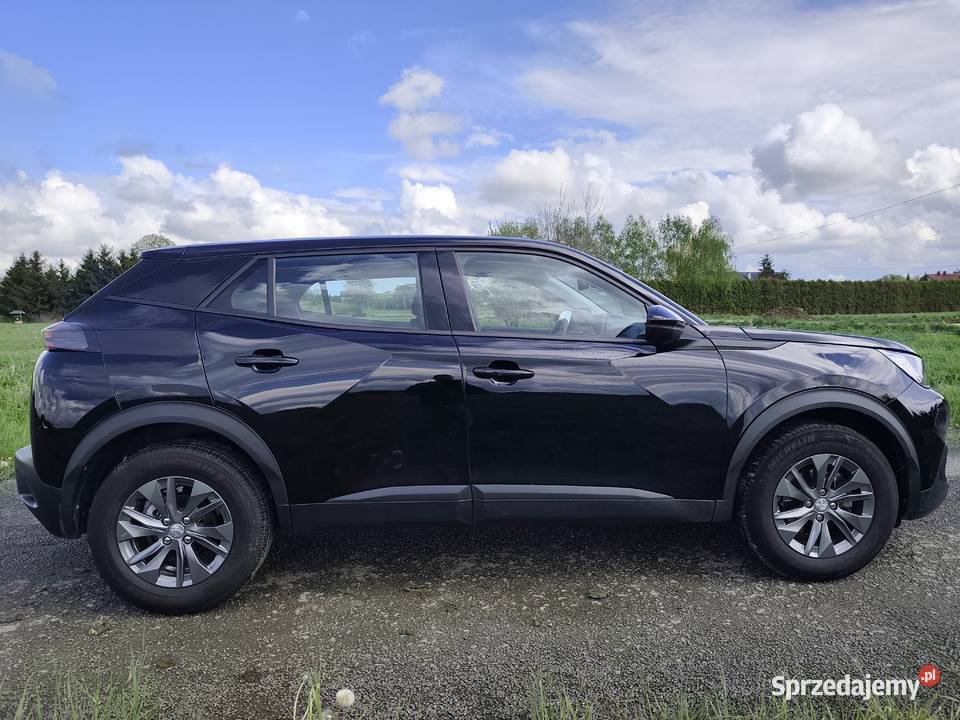Peugeot 2008 12 L Pure Tech 2008 podkarpackie Kostarowce