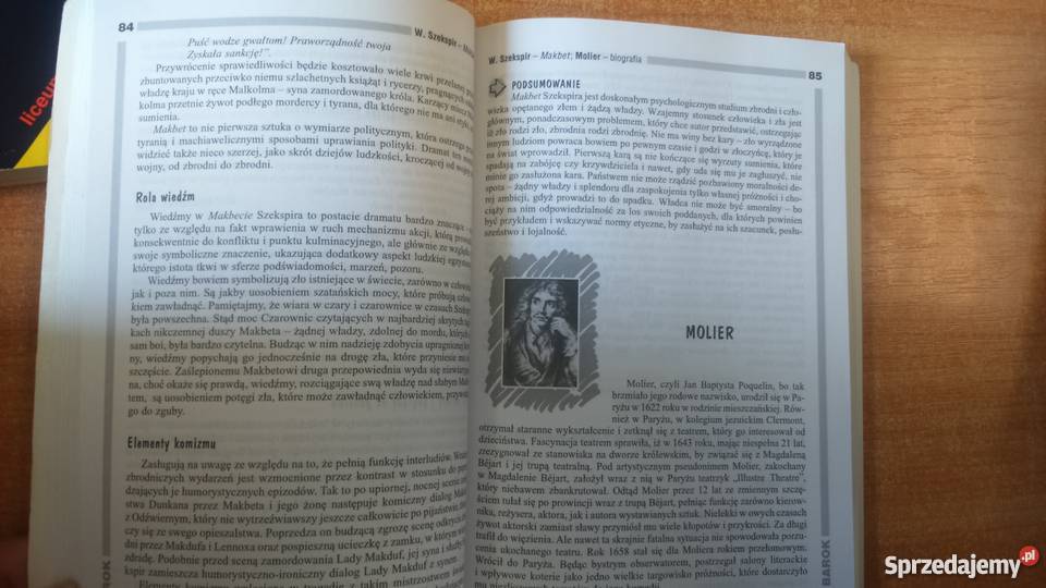 Zestaw Opracowania Lektury i wiersze Greg liceum Olsztyn sprzedam
