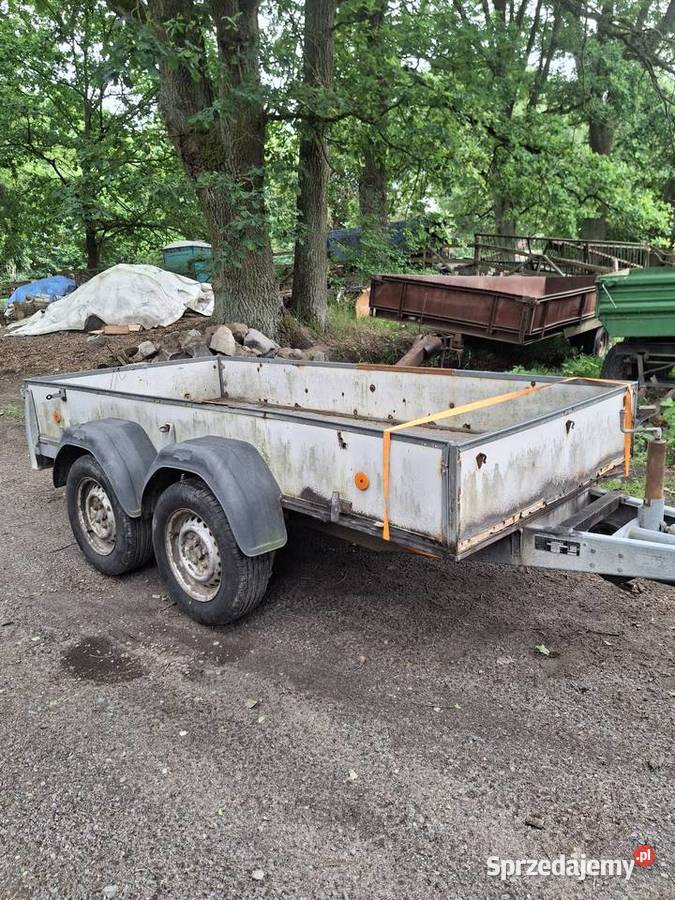 Przyczepa samochodowa westfalia 2000 dmc 300x140 Krosno Odrzańskie