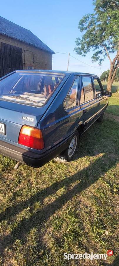 Polonez caro Rypin