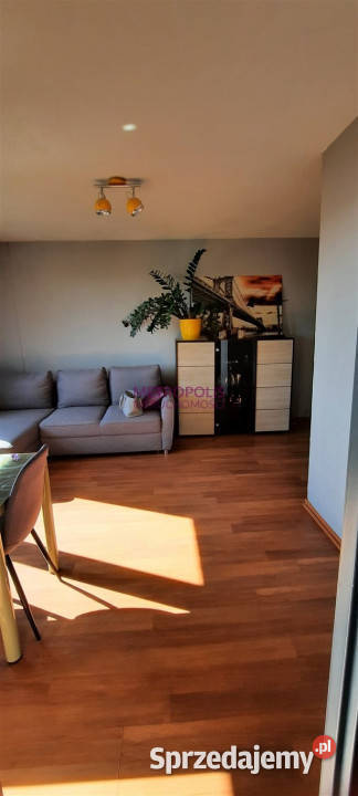 Mieszkanie 327m2 1 pokojowe Rybnik