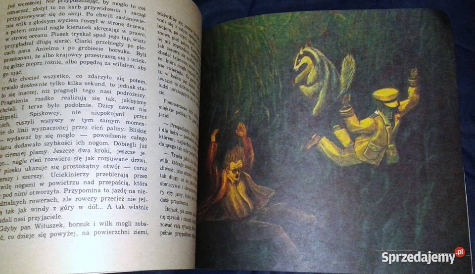 Godzina dwudziesta piąta Wojciech Janota Chełm