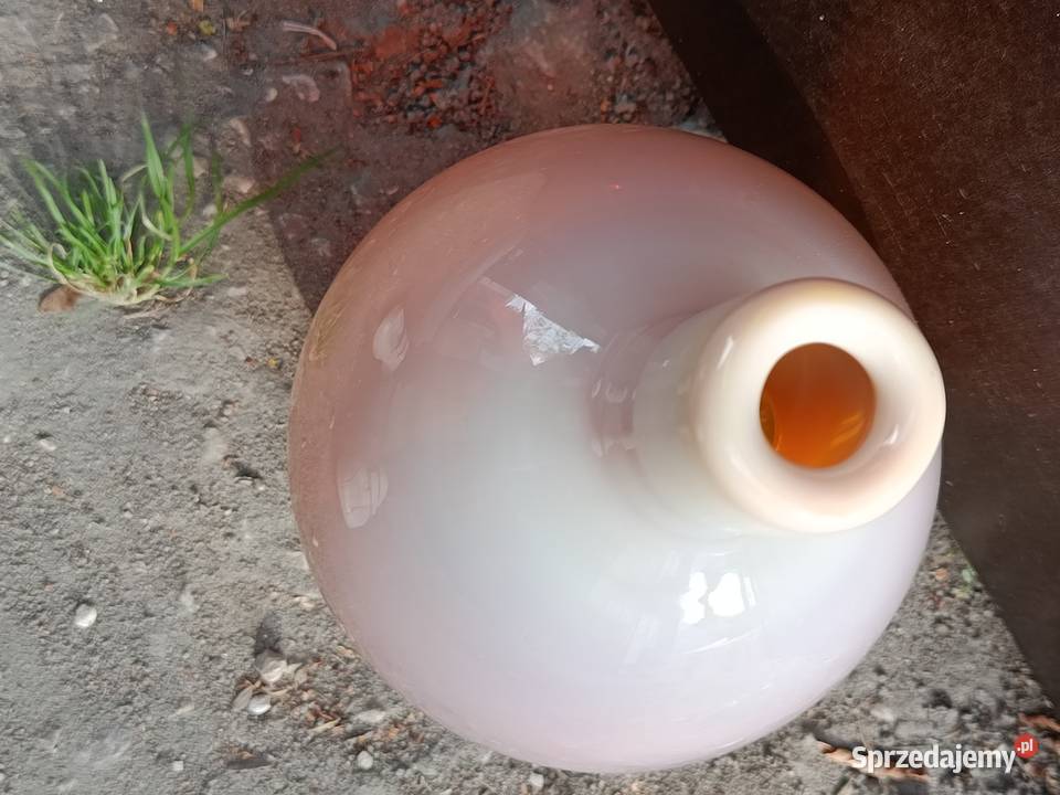 Butla Alicja swinkowa ZHorbowego Warszawa