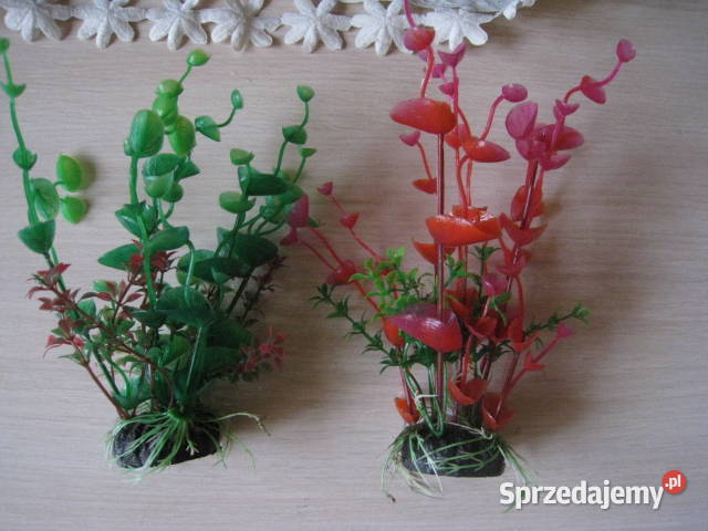 Roślinki akwariowe sztuczne Częstochowa