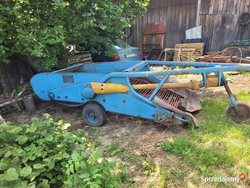Kopaczka elewatorowa do ziemniaków Lelowice