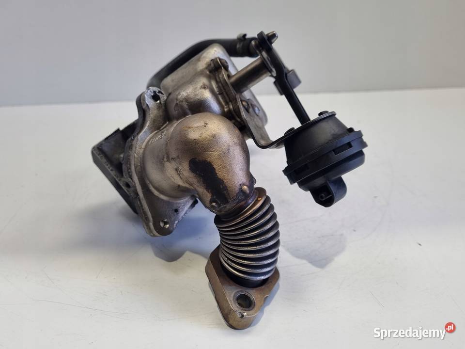 CHŁODNICA SPALIN BMW F10 F11 F30 20 D Rudka