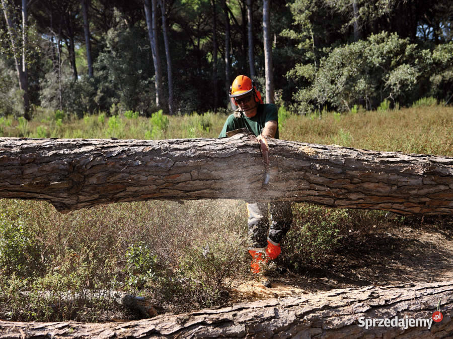 OLEOMAC GSH 560 PIŁA PILARKA PRZECINARKA Opalenica