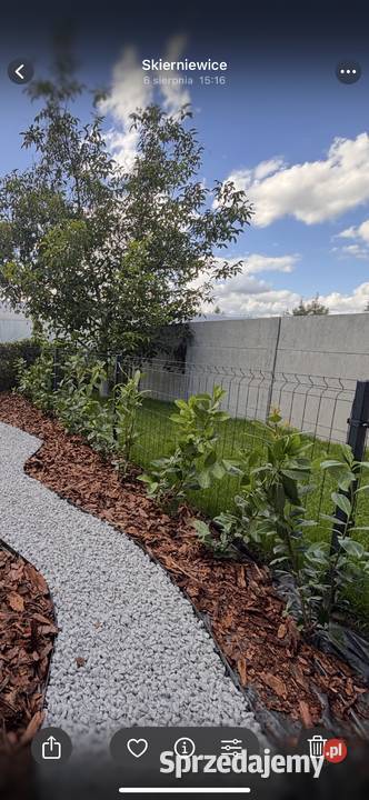 Usługi ogrodnicze ogrodnik pielęgnacja ogrodu Łódź