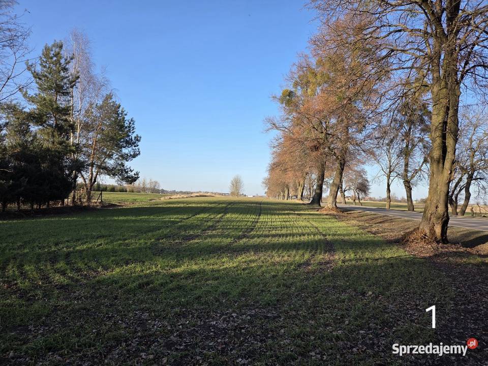 Działka budowlana w Strupinie Małym lubelskie Strupin Mały sprzedam