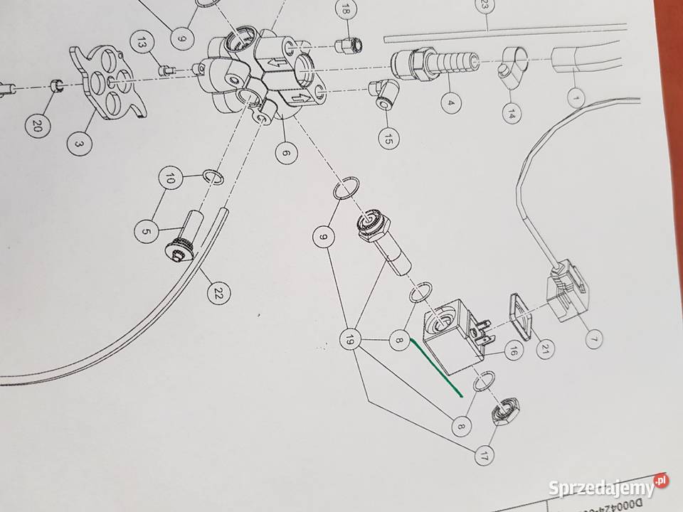 9113808100 Cewka Lely Pura Hodowla bydła Rolnictwo Sulechów