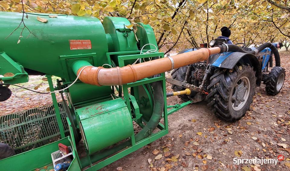 Kombajn do orzechów Cimina Super 200 Izdebno