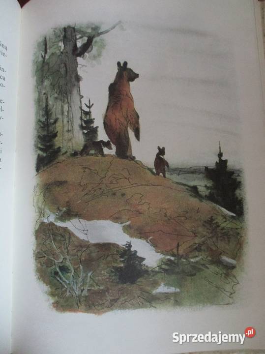 Leśne obrazki ISokołow Mikitow przyroda edukacja Łódź