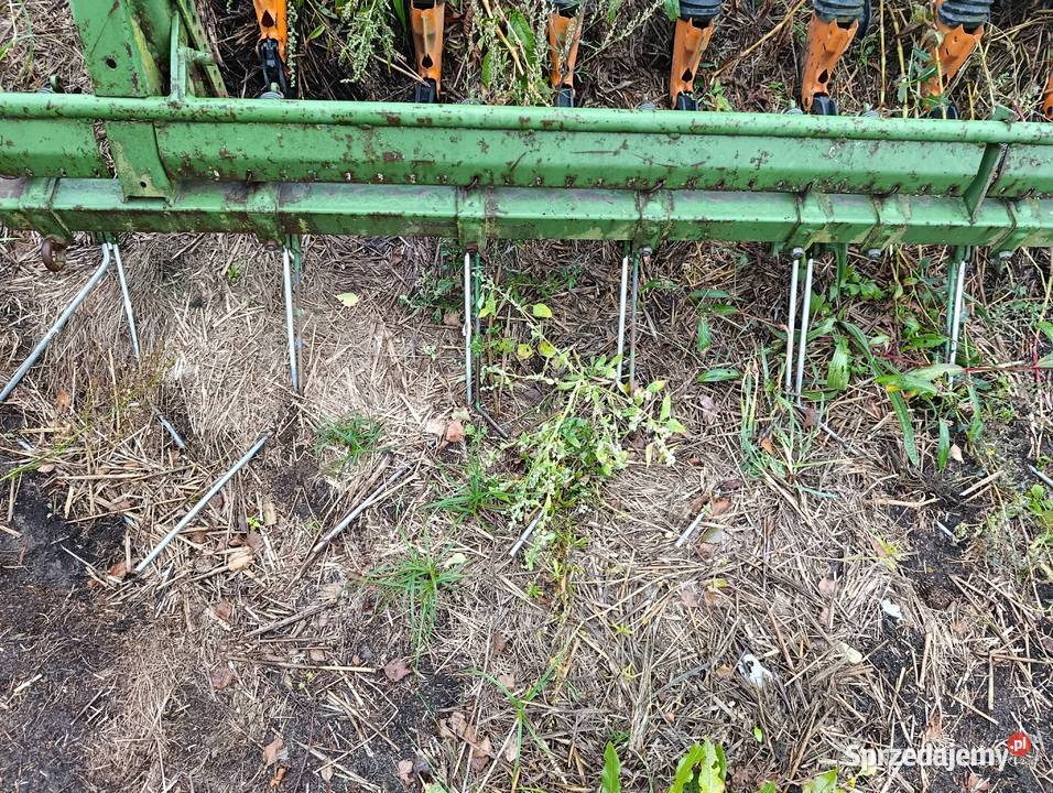 siewnik amazone d8 25 Siewniki i sadzarki Olbrachcice