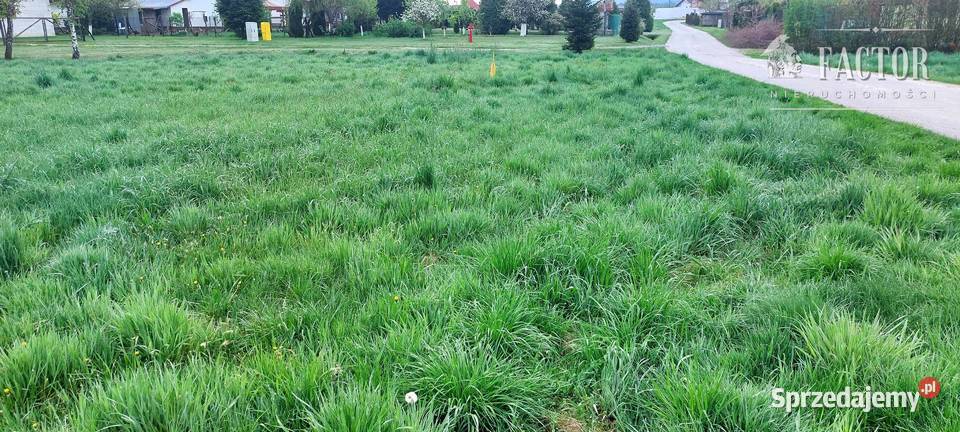 Kobylanka działka budowlana do wydzielenia