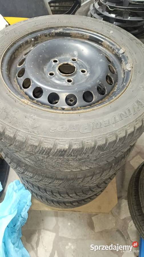 kół zimowych na felgach stalowych 195 65 R15 Świlcza sprzedam