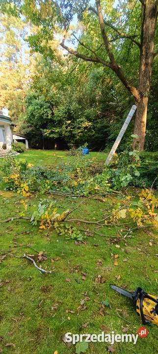 Sprzątanie piwnic i garaży Sulejówek