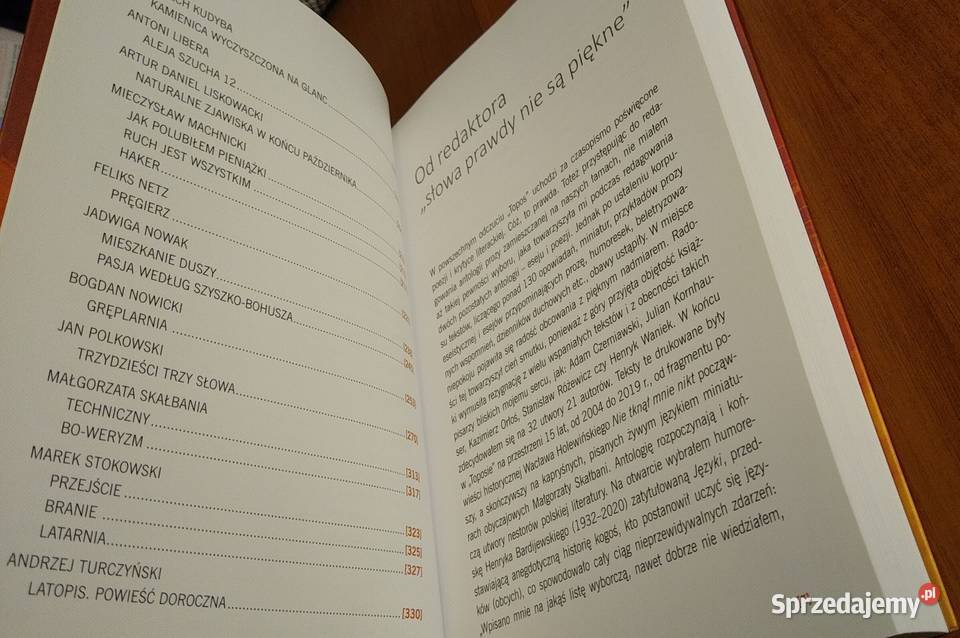 Południe meridies proza antologia Toposu Gdańsk sprzedam