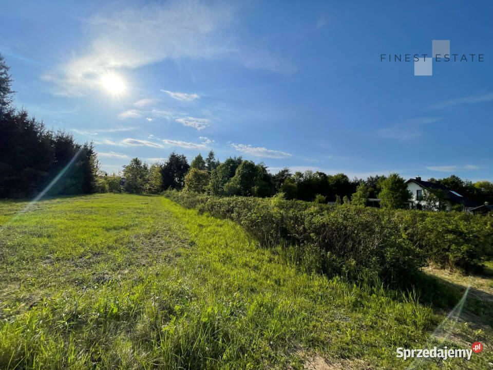 Grunt 1845 metrów Podkampinos Jagodowa