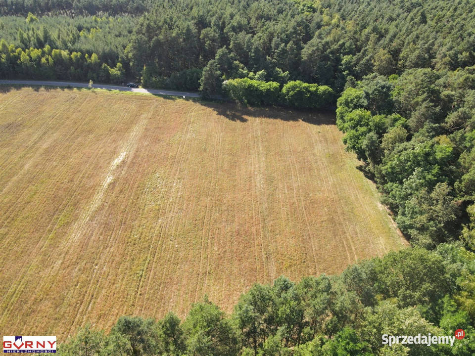 Działka 4600m2 Stobnica Sprzedaż