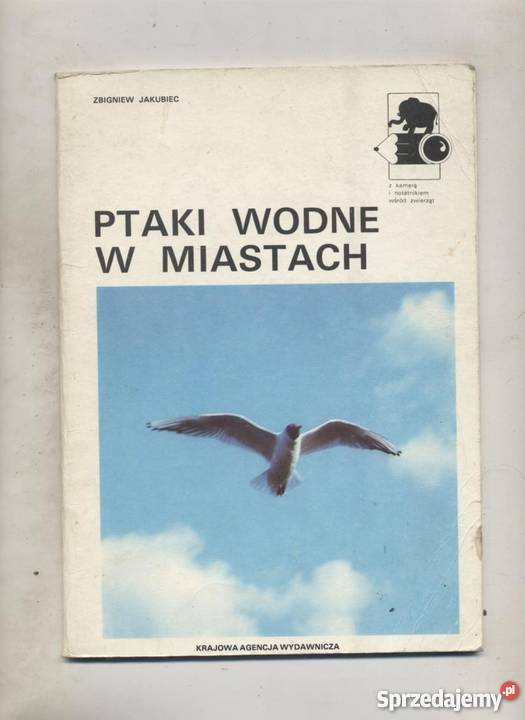 Ptaki wodne w miastach Pozostałe Szczecin