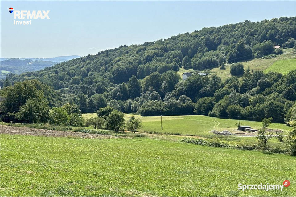 Prywatny las 3331 m2 Twoja przestrzeń w naturze Młynne