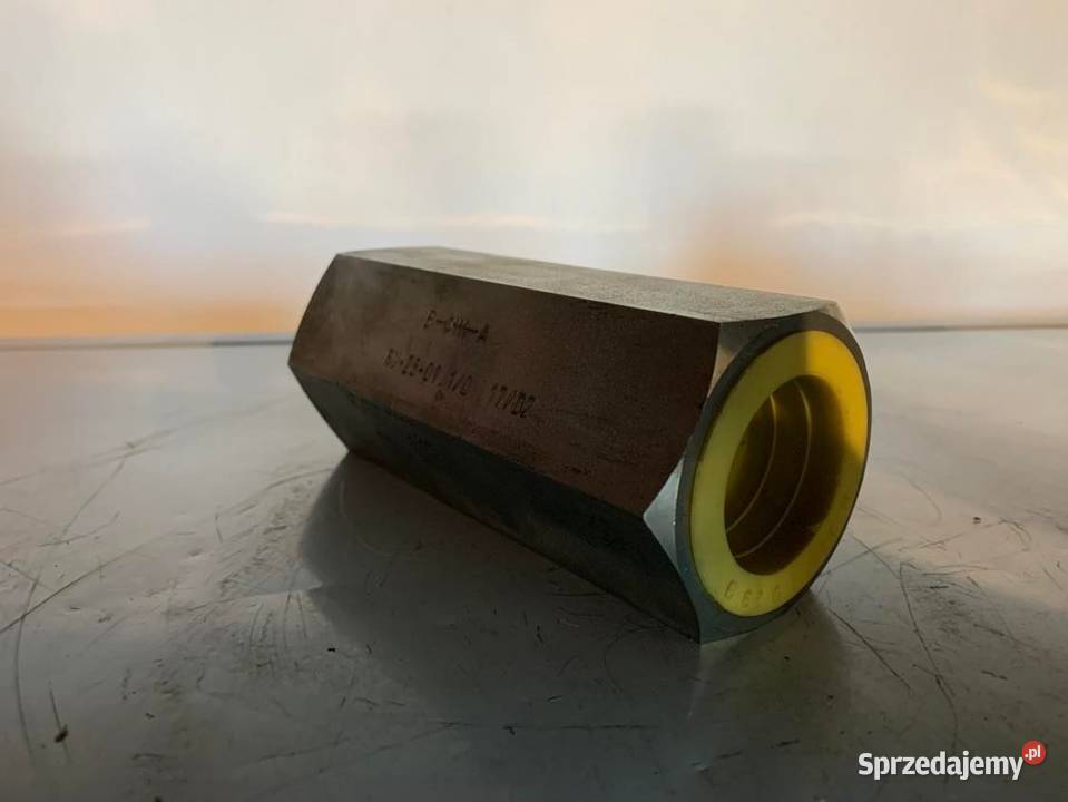 Zawór zwrotny RV 250110 Warszawa