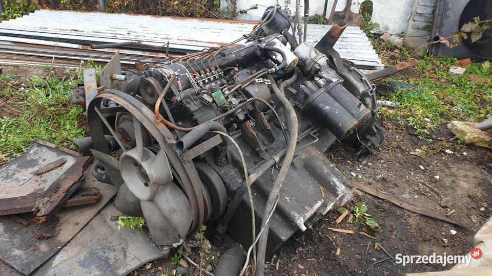 Silnik IFA W50 Drzewica