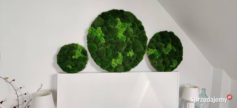 Trzy okrągłe obrazy śr 705030 ogród wertykalny odcienie zieleni Kraków