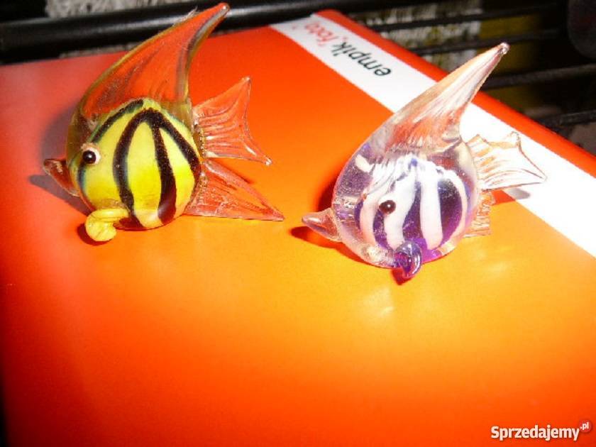 2 małe ryby szkło Wrocław