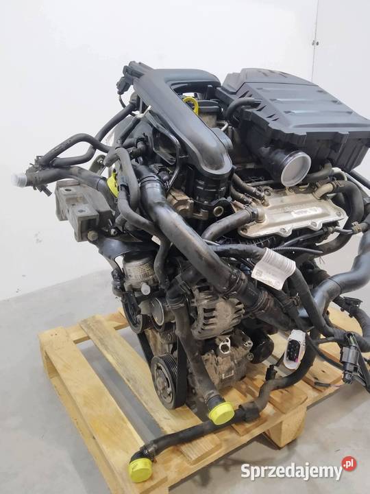 SILNIK KOMPLETNY BENZYNA CHZ 10 TSI Seat Ibiza V Rok produkcji 2018 świętokrzyskie sprzedam