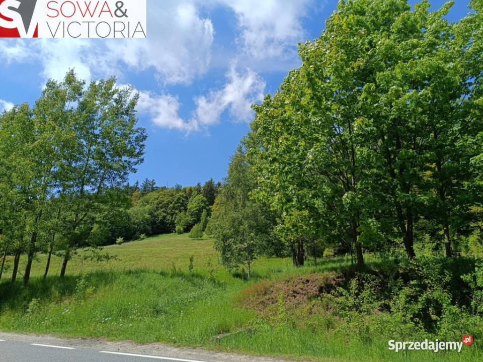 Działka budowlana 3 Wałbrzycha Promocja asfalt Jedlina-Zdrój