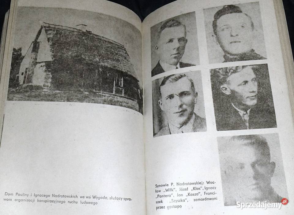 Matki partyzantów Genowefa Cergowska lubelskie Chełm