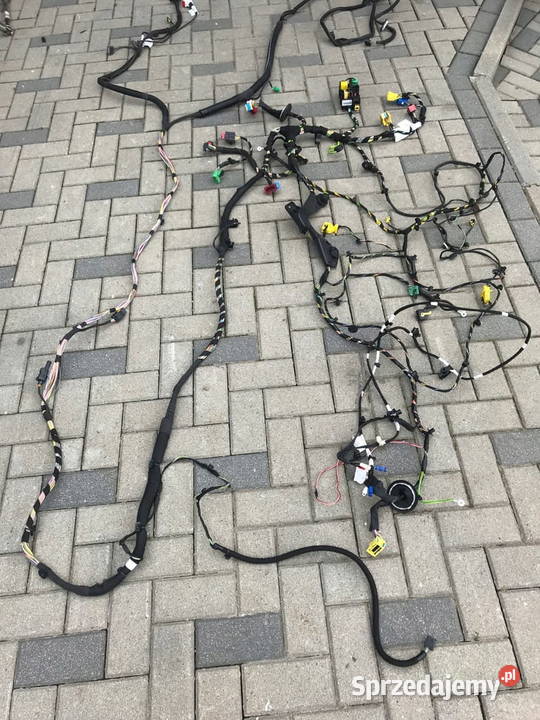 Expert III Vivaro Proance Jumpy III wiązka