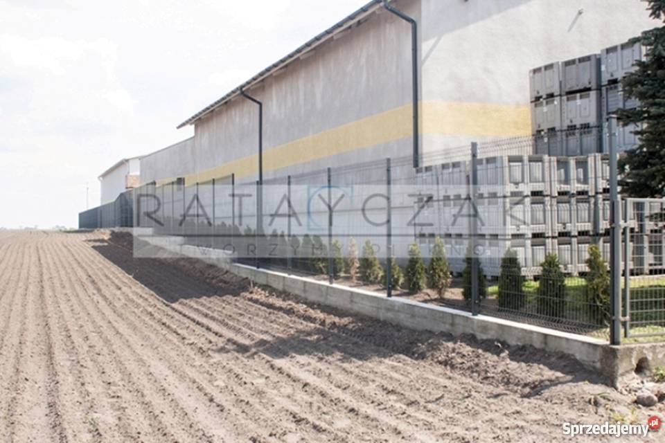 GRUBYPanel Panele Systemowe 3D 123m 120m Gniewkowo