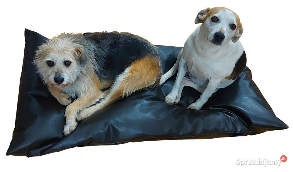 Legowisko psa kota WYMIAR 115 x 60 pokrowiec Olsztyn