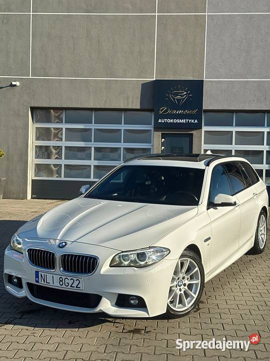 BMW 520d seria 5 Świetny stan Lidzbark Warmiński