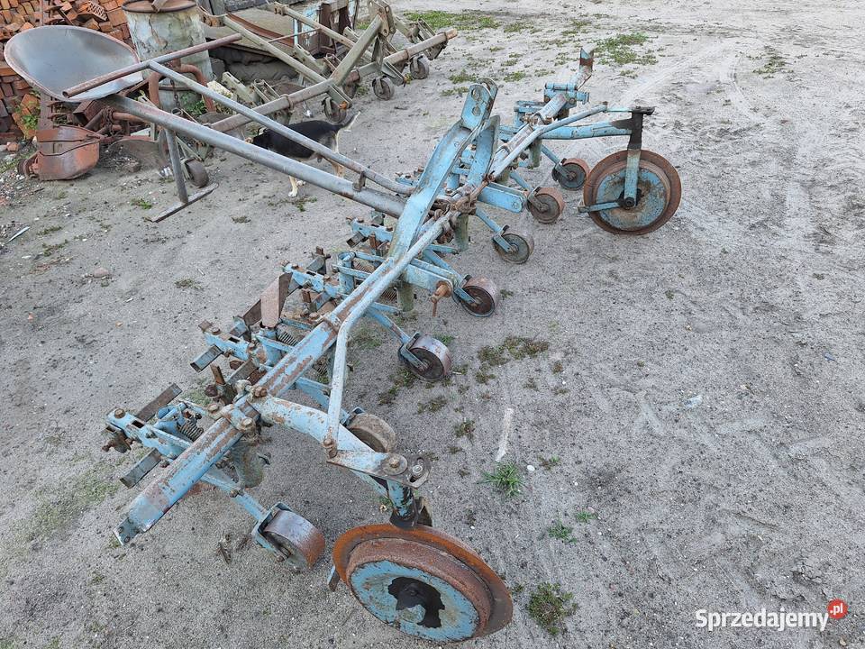 Opielacz do buraków 6 rzędowy Kaczanowo