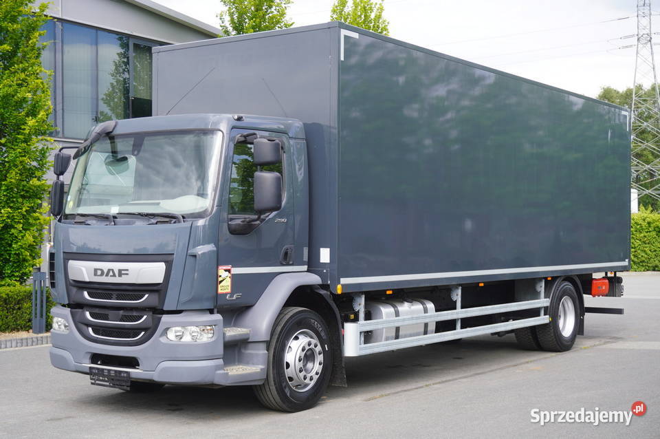 DAF LF 290 Kontener 21 EPAL 2021228418 blokada mostu Kraków