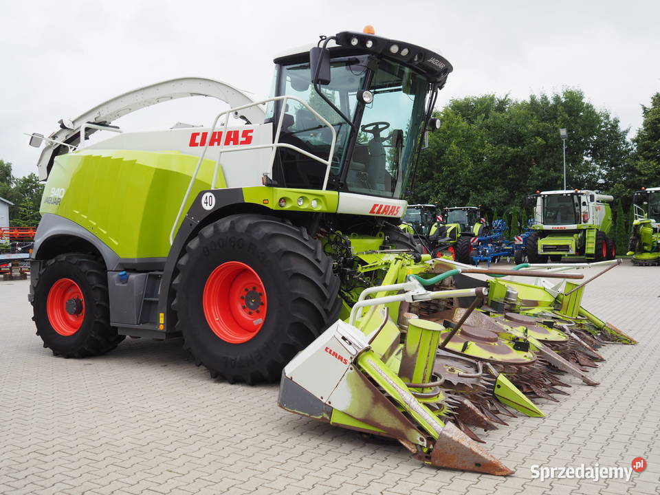 Claas Jaguar 940 4WD Orbis 600 SD Sieczkarnia Przystawka do kukurydzy wielkopolskie Stęszew