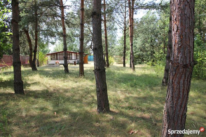 Wrzosów działka rekreacyjna z domkiem Jedlnia-Letnisko sprzedam