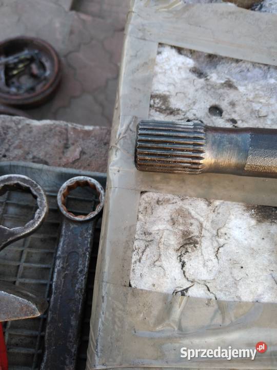 Polonez Caro plus polosbeben tarcza kotwiczna