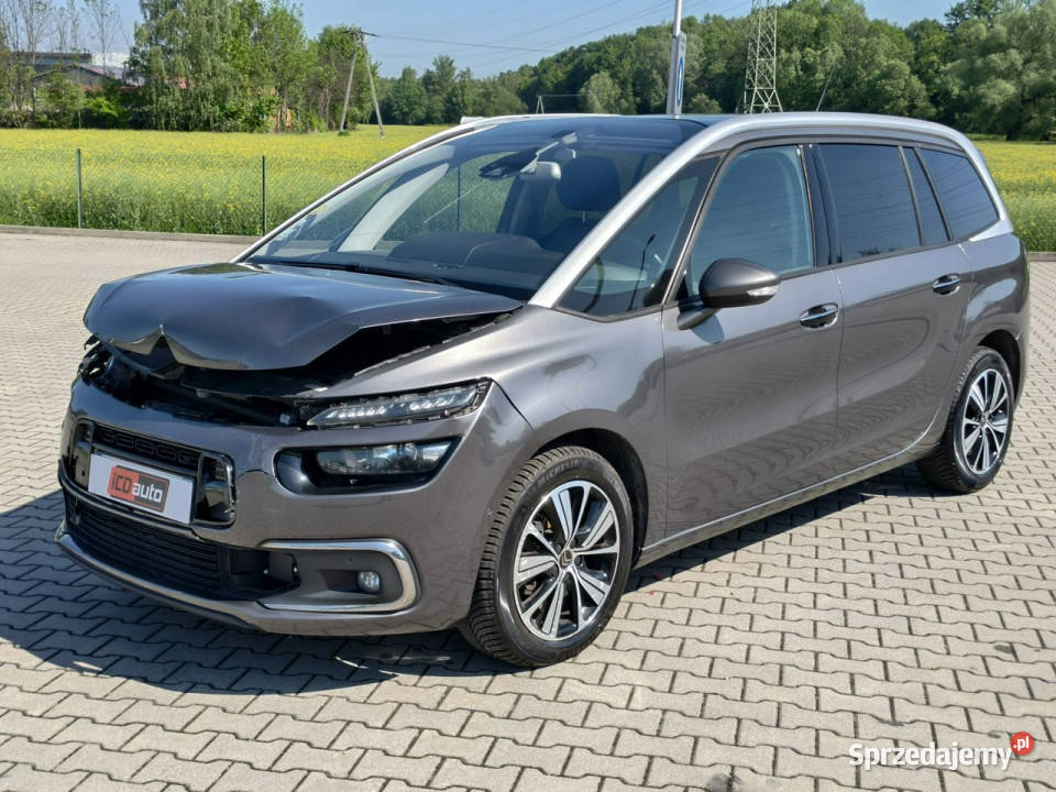 Citroen C4 Grand Picasso 16 bluehdi 120 panorama