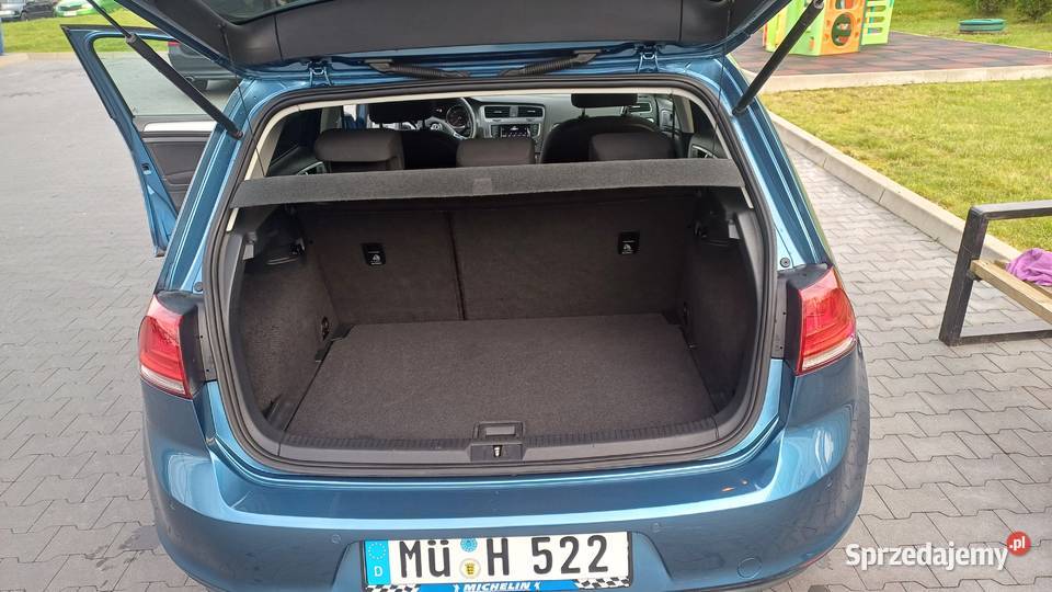 Volkswagen Golf 2013 16 TDI 220000km Węgorzewo