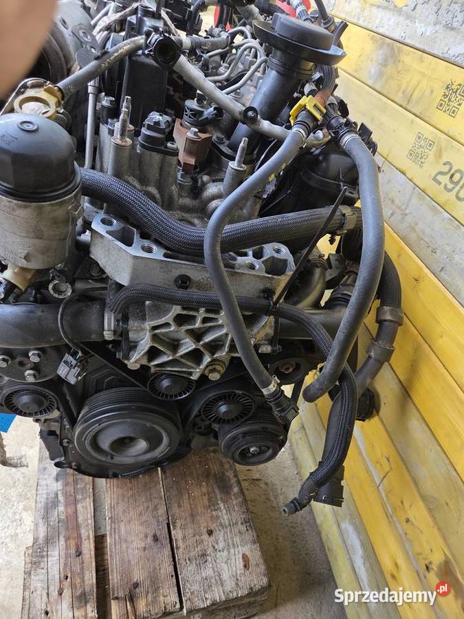 Silnik 20 dtd 204dtd 180 kompletny evoque automatyczna Brzesko sprzedam