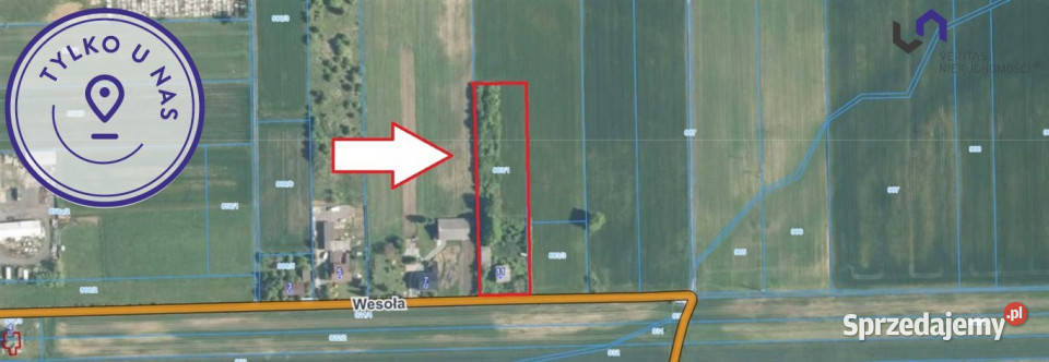 sprzedaży gruntu Szyce Wesoła 5353m2 śląskie