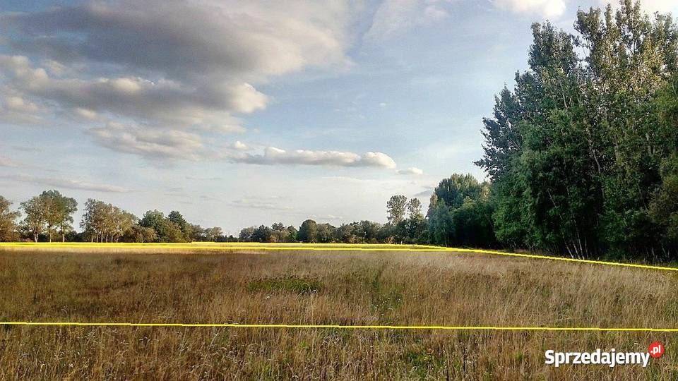 Działka morzem ruchome wydmy tanio Słupsk