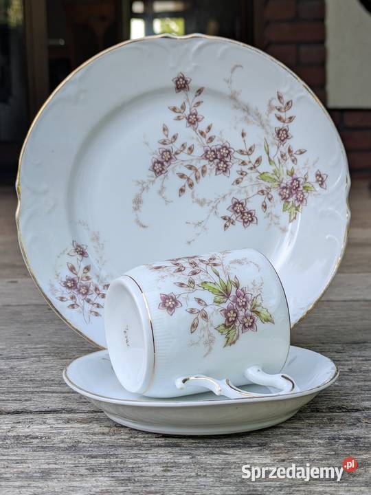 Wiekowa Śląska Porcelana z XIX wieku dolnośląskie Legnica