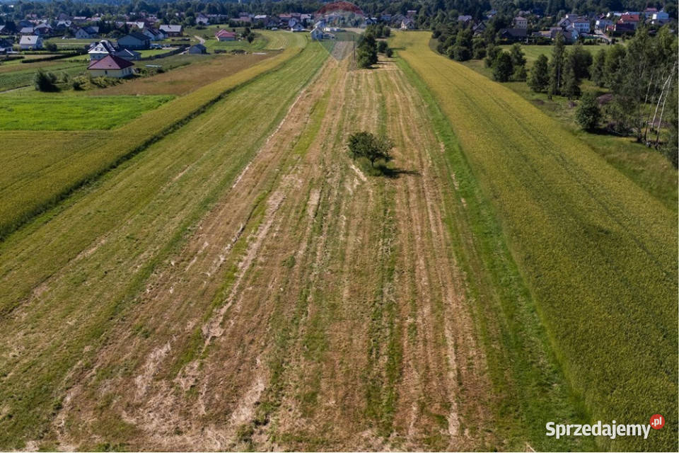 Widokowa działka panorama 360 Lipowa