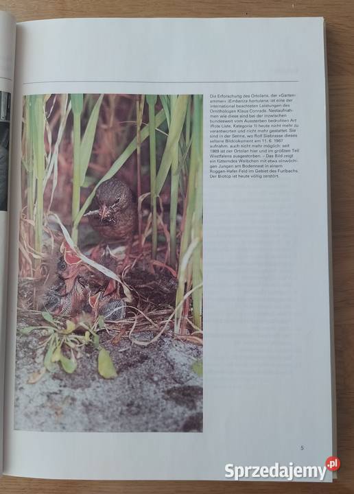 Natur verstehen Natur erhalten przyroda, krajobrazy Hajnówka
