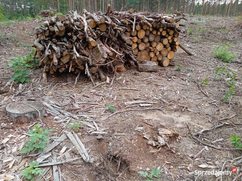Drewno opałowe sosnowe suche Pozostałe Świecie